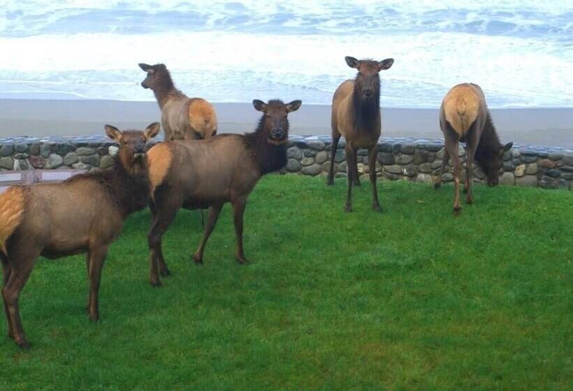 Lx28 Oceanfront Estate Great For Weddings