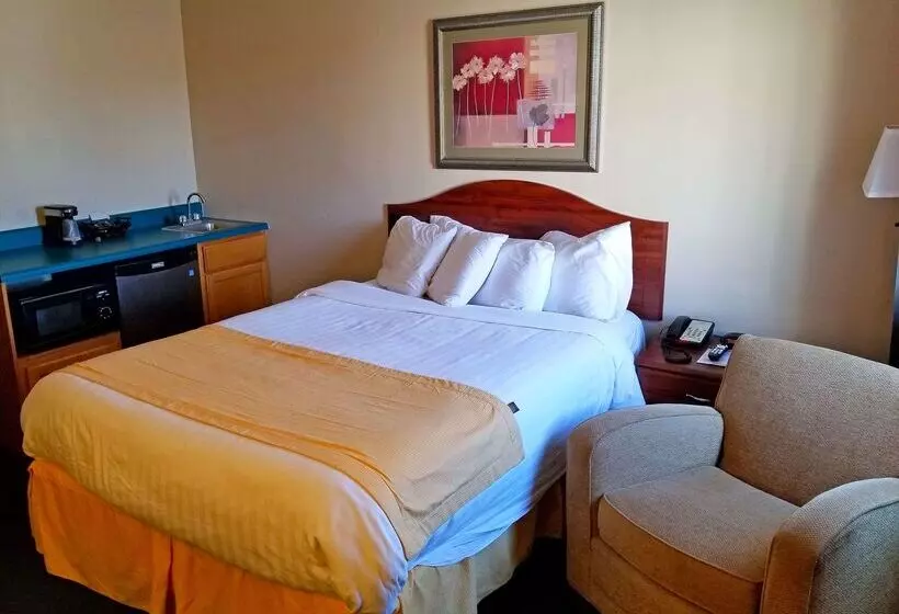 酒店 Americas Best Value Inn St. Louis / South