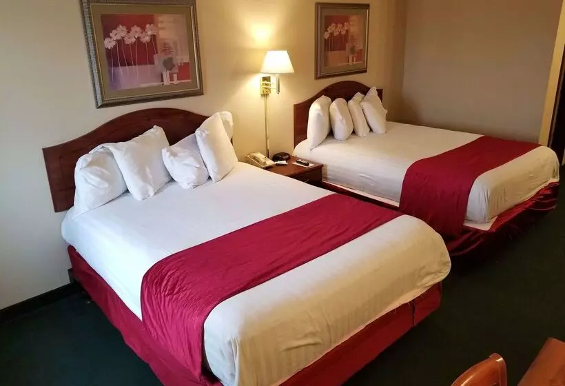 酒店 Americas Best Value Inn St. Louis / South