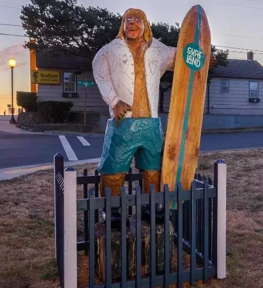 בית מלון כפרי Surfland