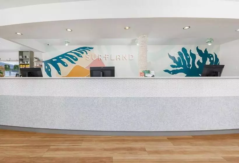 בית מלון כפרי Surfland