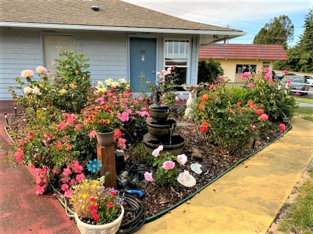 Motel Myrtle Lane Inn