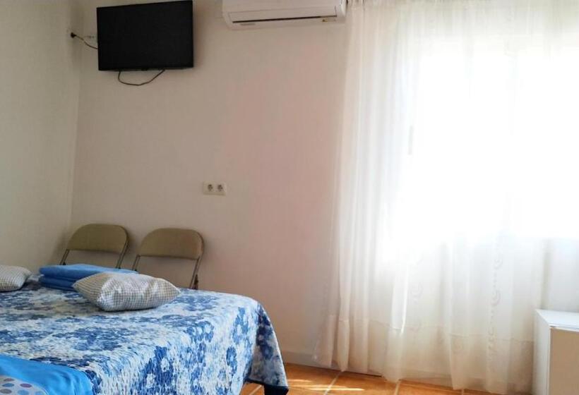 Golden Tower Pensión Auto Check In