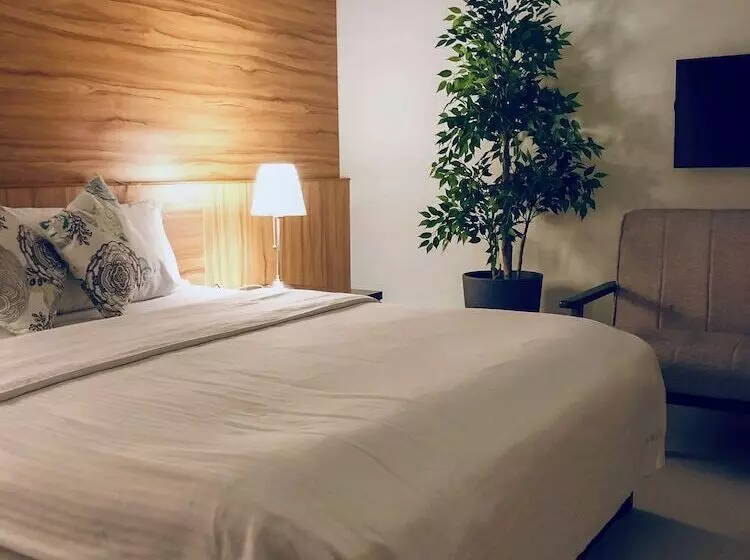 Luster B&b