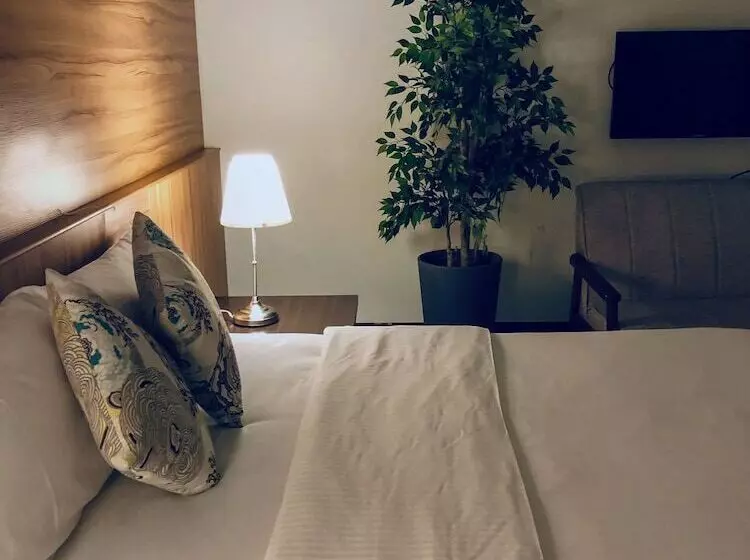 Luster B&b