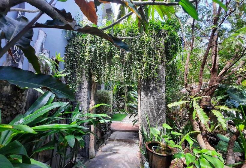 פנסיון Kubu Kenak Guesthouse