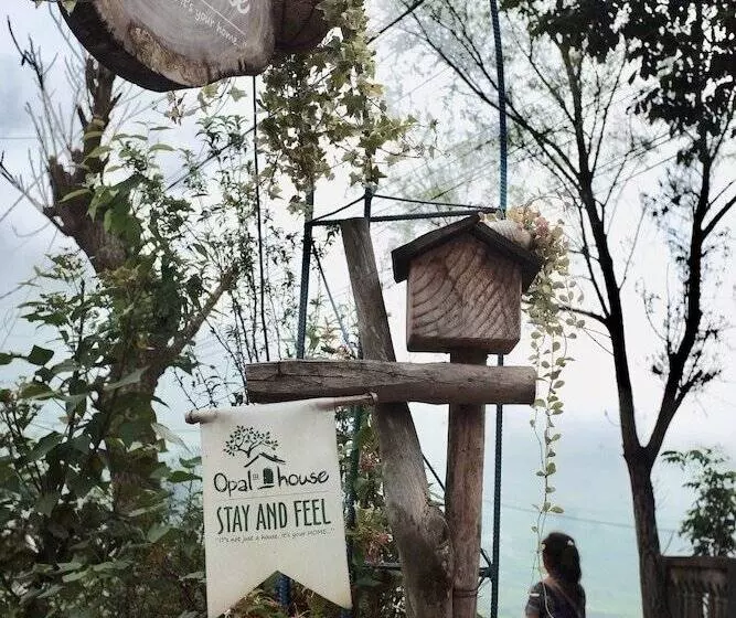 پانسیون Opal House