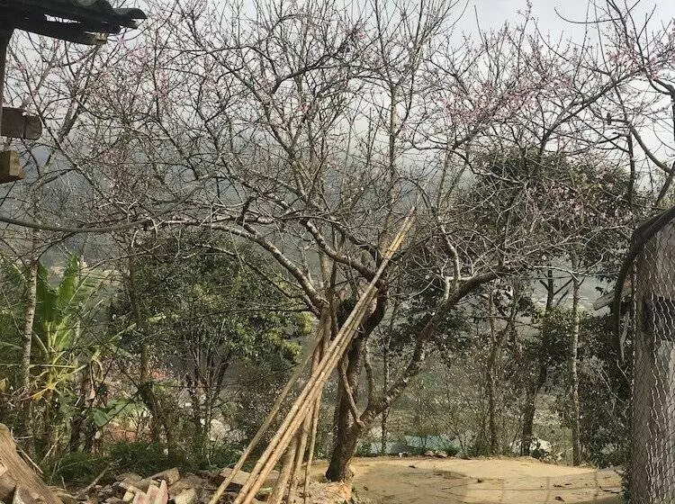 پانسیون Opal House