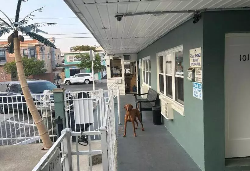 Twilight Motel
