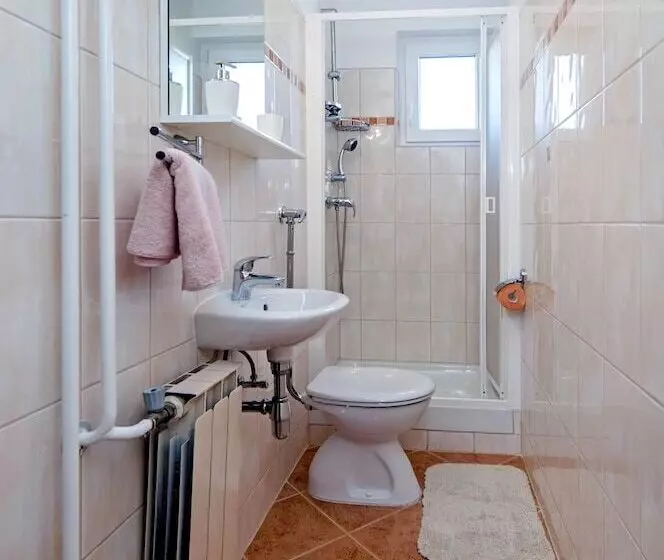Apartment Ivo