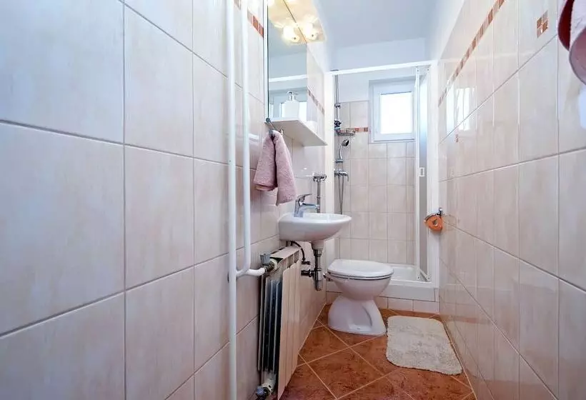 Apartment Ivo
