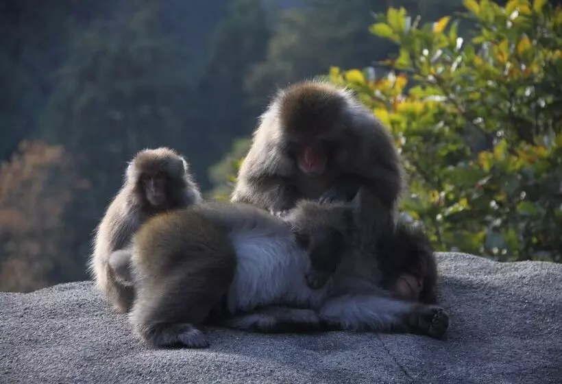 Retkeilymaja Guesthouse Unila