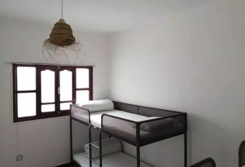 V&d Tamraght Surfers Hostel   Adults Only