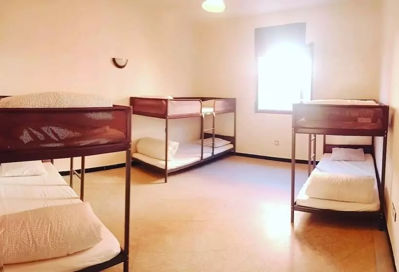 V&d Tamraght Surfers Hostel   Adults Only