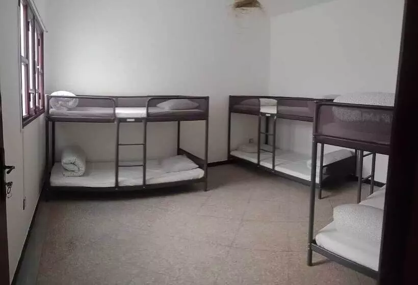 V&d Tamraght Surfers Hostel   Adults Only