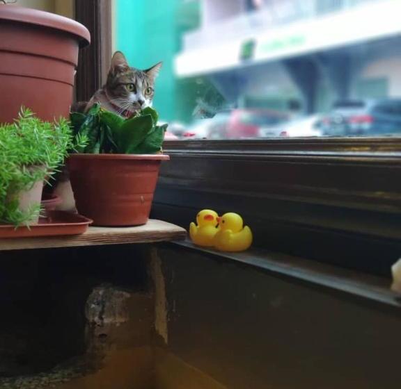 Отель Anggun Lodge