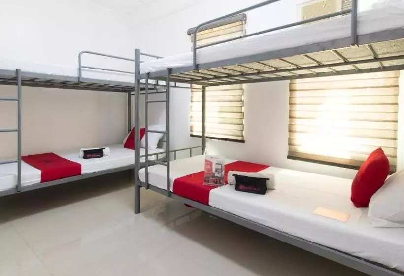 ホテル Reddoorz At Teofila Lodge