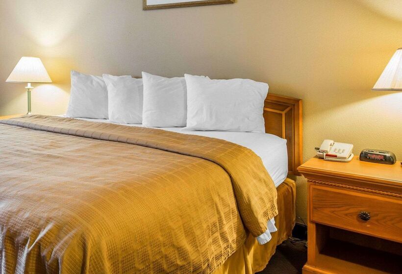 ホテル Quality Inn Tracy I 205