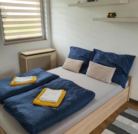 펜션 Birs Vendégház