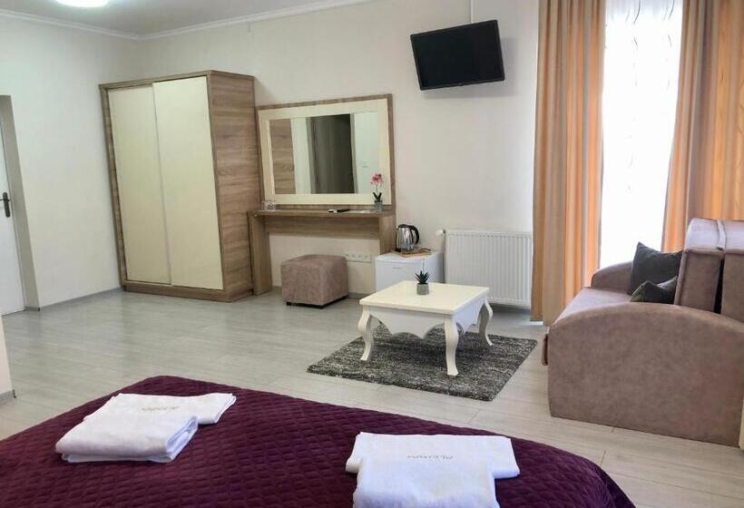 ホテル Alenso Guesthouse