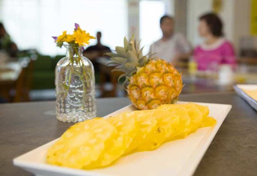 The Holy Cow Hostel & Suites