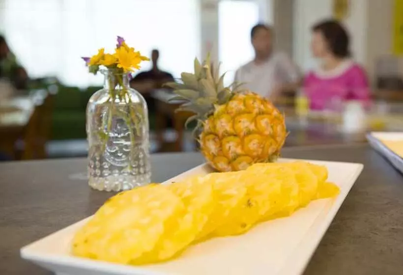 The Holy Cow  Hostel & Suites