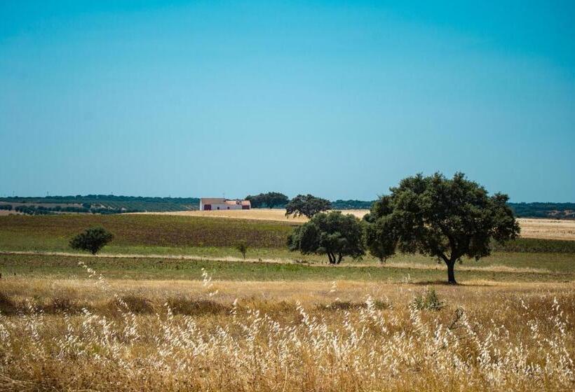 민박 Casa Brazao Mira