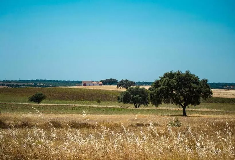 Aamiaismajoitus (B&B) Casa Brazao Mira