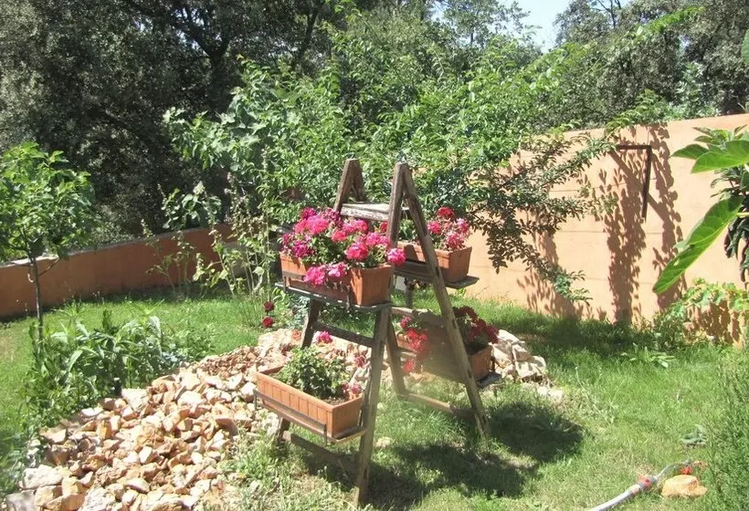 Casa Das Oliveiras