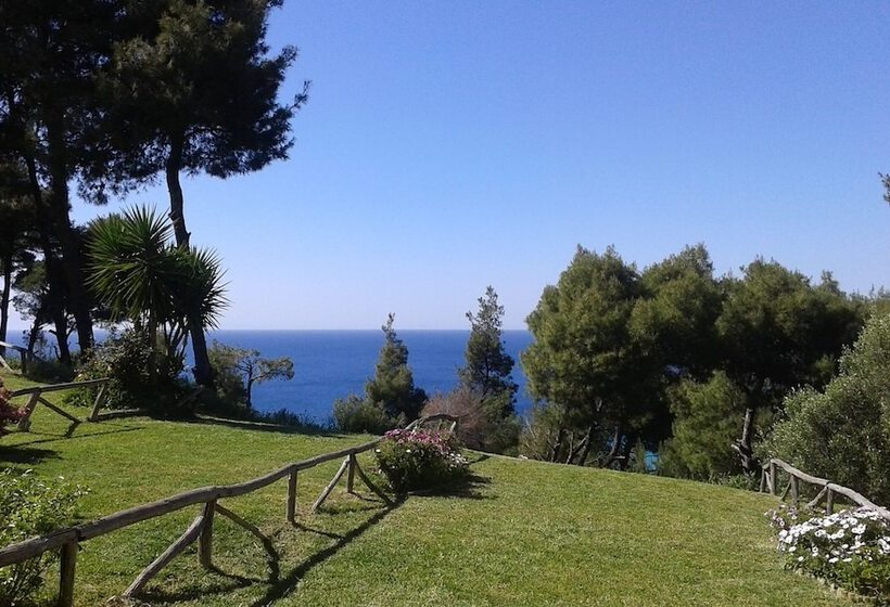 Beachside Haven, Poolside Serenity & Sunset Magic