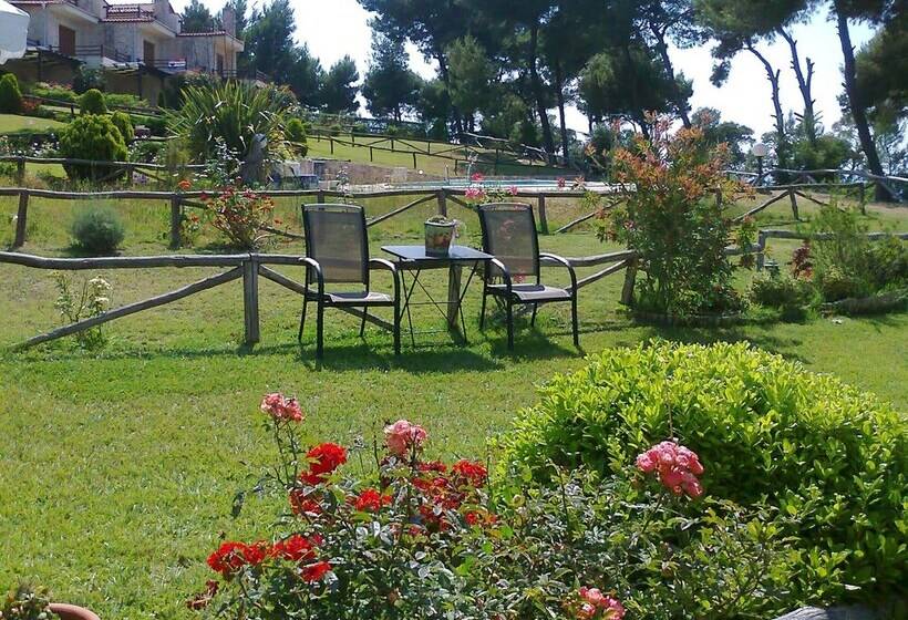 Beachside Haven, Poolside Serenity & Sunset Magic