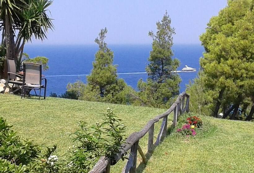 Beachside Haven, Poolside Serenity & Sunset Magic