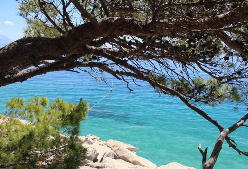 Aria Apartments With Sea View