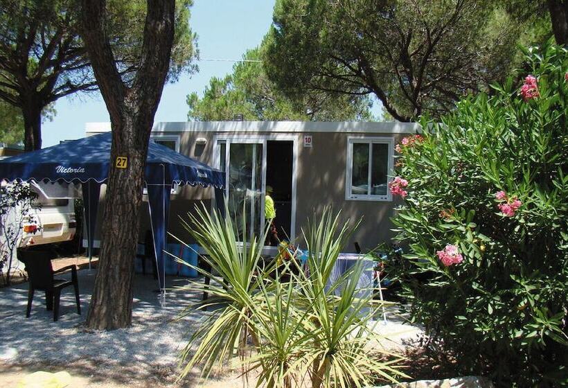 בית מלון כפרי Victoria Mobilehome By Ville Degli Ulivi