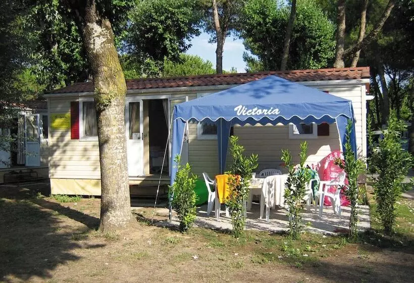ホテル Victoria Mobilehome By Ville Degli Ulivi