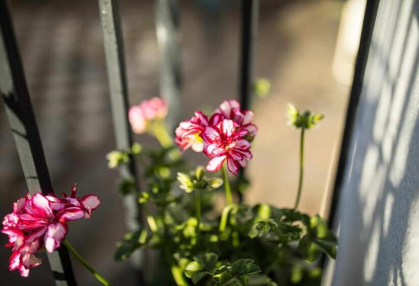 Capricho De La Judería Suites