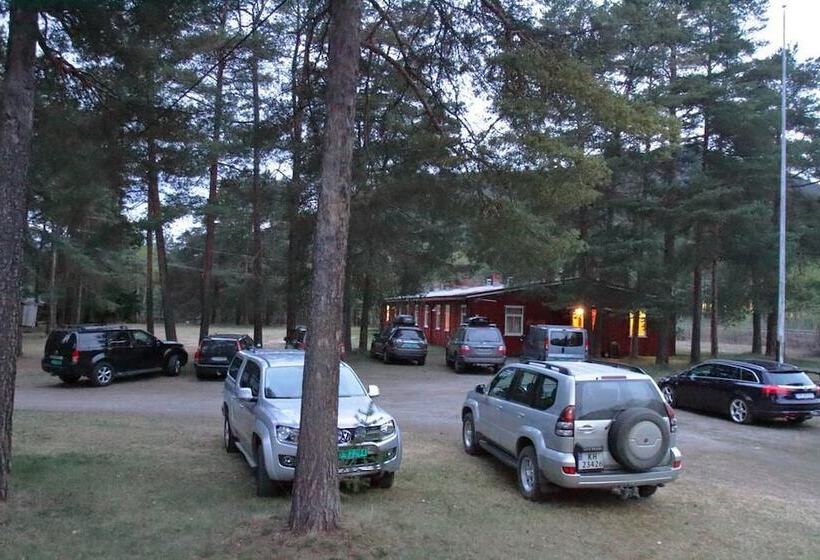 Хостел Frya Leir