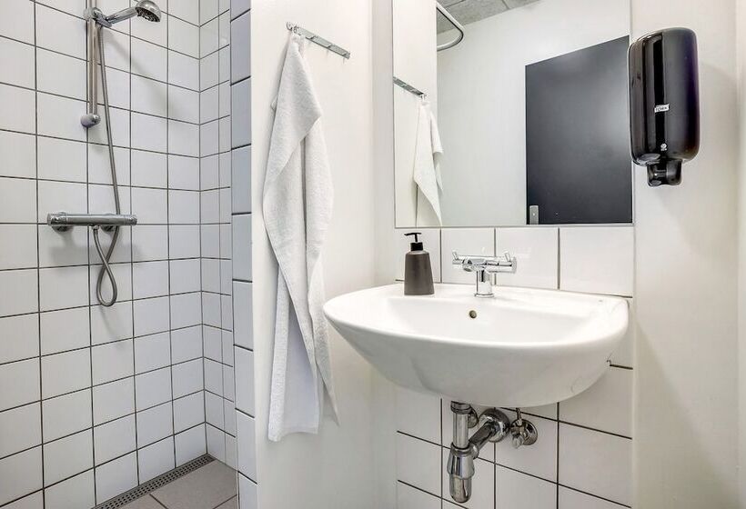 בית מלון כפרי Danhostel Skjern