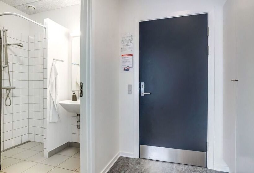 בית מלון כפרי Danhostel Skjern