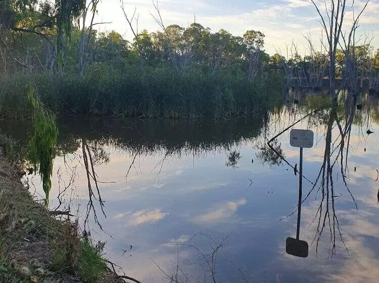 Hotelli Pioneer Tourist Park