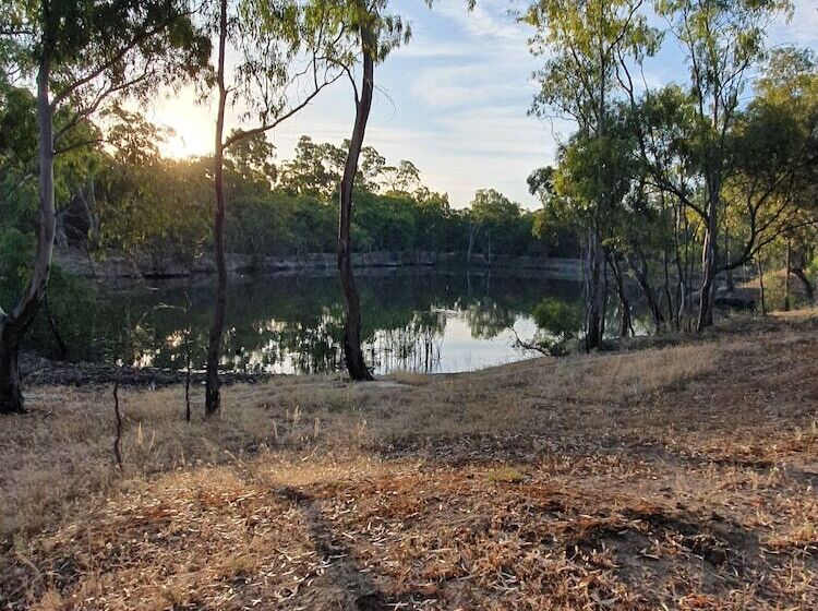 בית מלון כפרי Pioneer Tourist Park