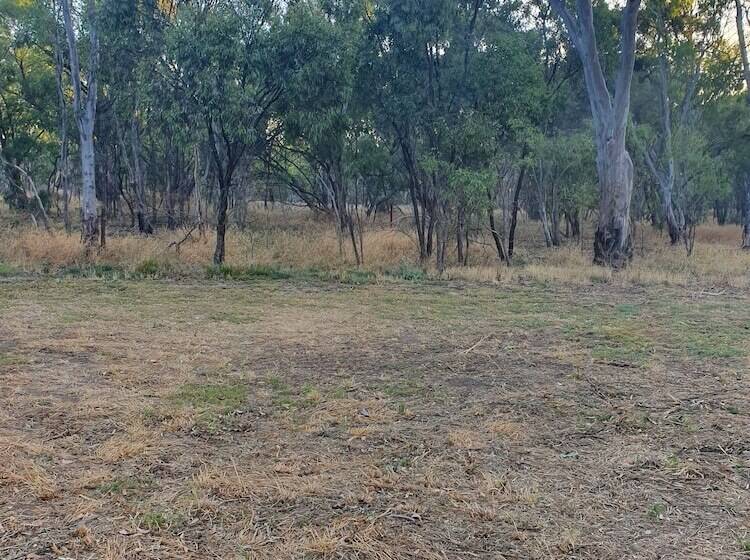 בית מלון כפרי Pioneer Tourist Park