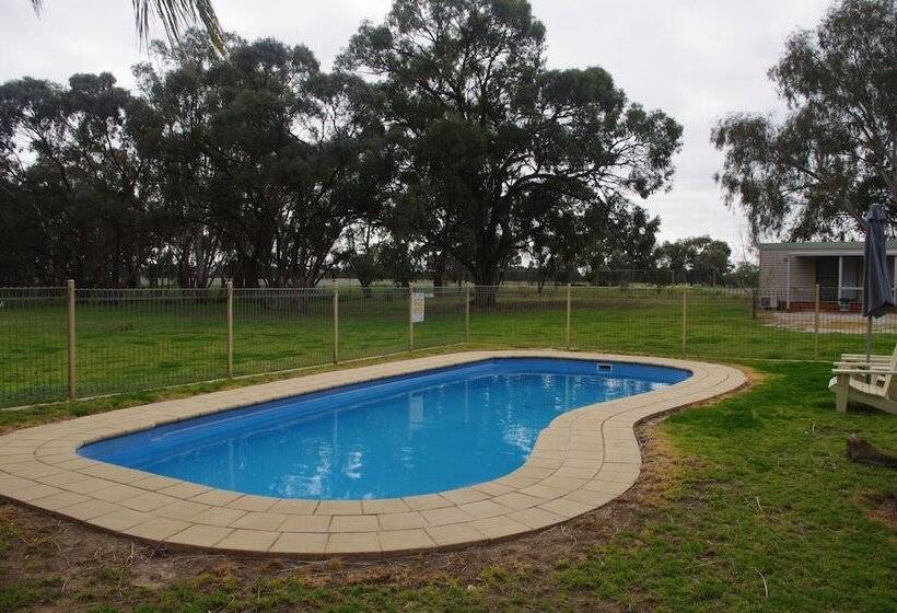 בית מלון כפרי Pioneer Tourist Park