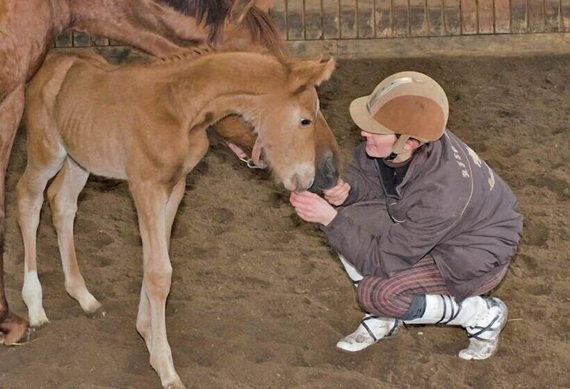 호텔 Pferdehof Berger