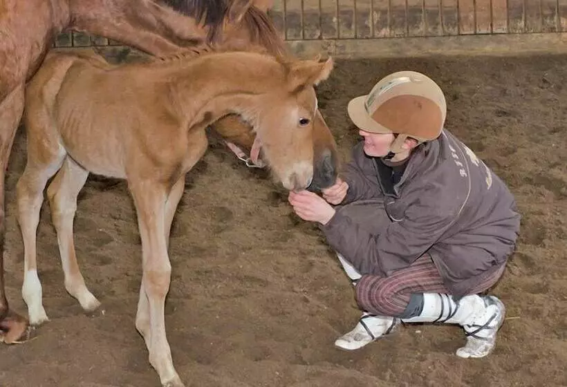 Hotelli Pferdehof Berger