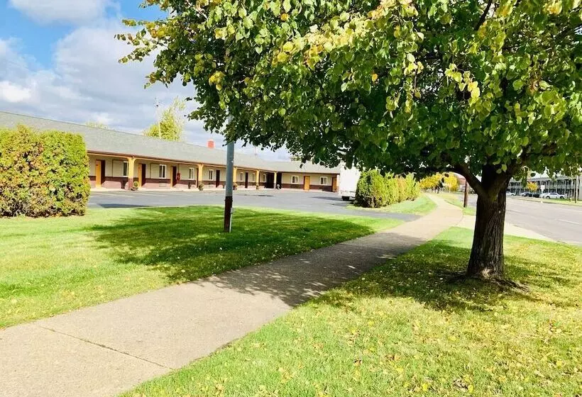 Motelli Motor City Inn & Suites