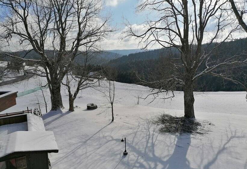 Пансион Gasthof Kreuz Am Escheck