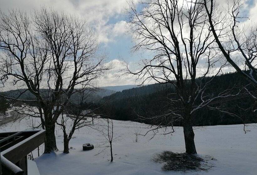 Пансион Gasthof Kreuz Am Escheck