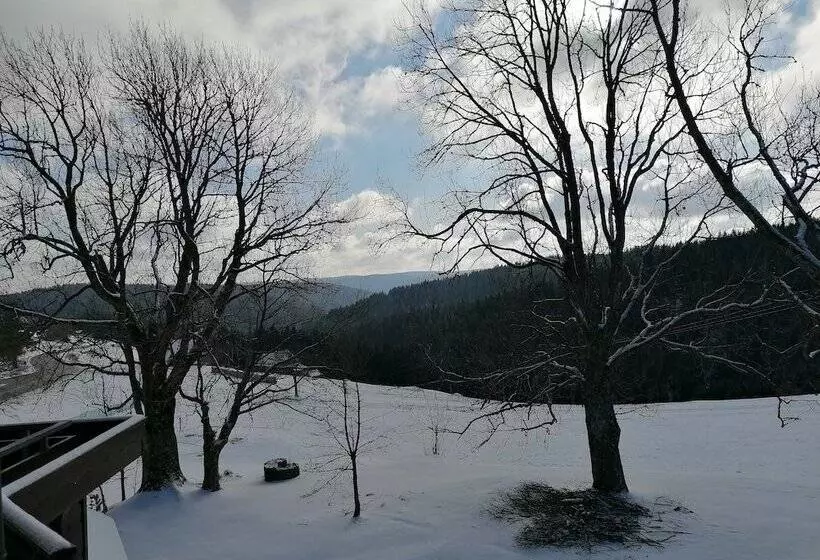 Majatalo Gasthof Kreuz Am Escheck