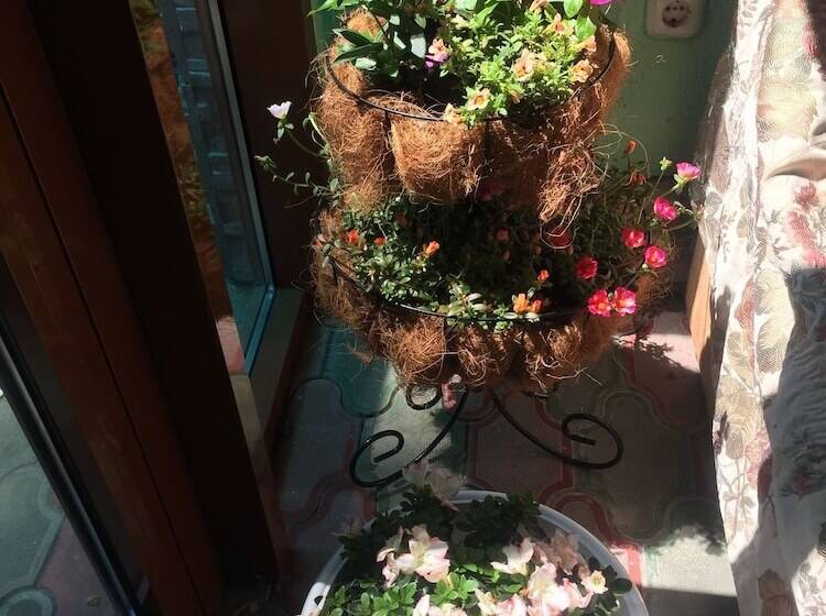 פנסיון Guest House U Priboya